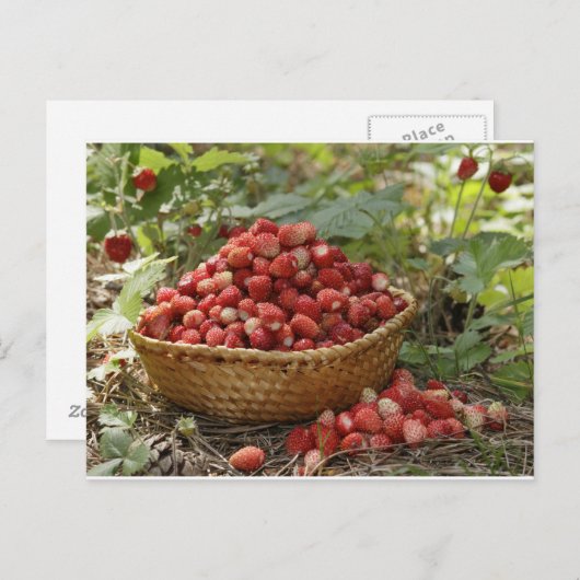 Erdbeeren Postkarte (Vorne/Hinten)