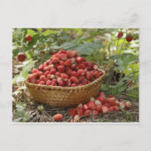 Erdbeeren Postkarte (Vorderseite)