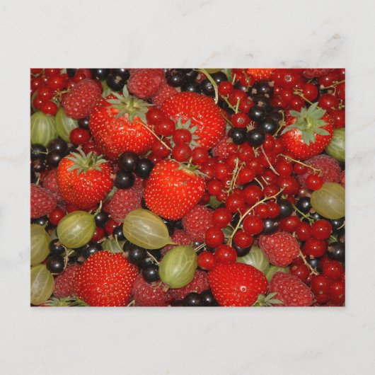 Erdbeeren Postkarte (Vorderseite)