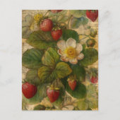 Erdbeeren Postkarte (Vorderseite)