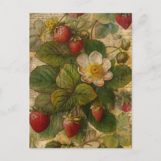 Erdbeeren Postkarte (Vorderseite)