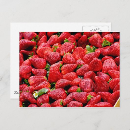 Erdbeeren Postkarte (Vorne/Hinten)