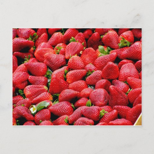 Erdbeeren Postkarte (Vorderseite)