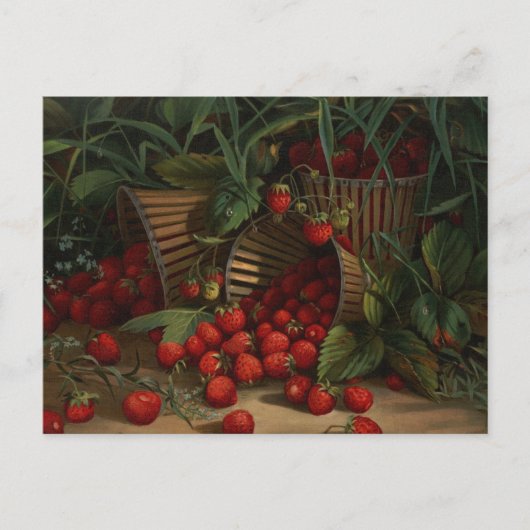 Erdbeeren Postkarte (Vorderseite)