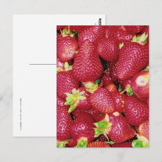Erdbeeren Postkarte (Vorne/Hinten)