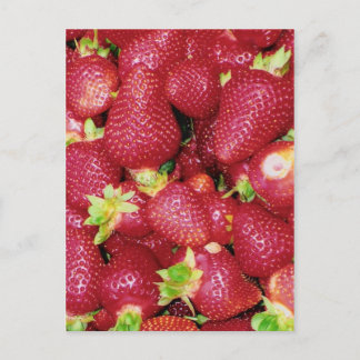 Erdbeeren Postkarte