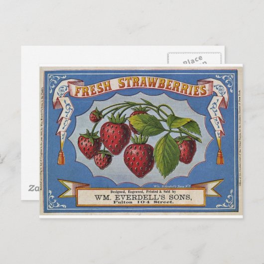 Erdbeeren Postkarte (Vorne/Hinten)