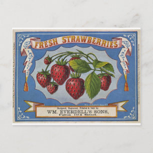 Erdbeeren Postkarte