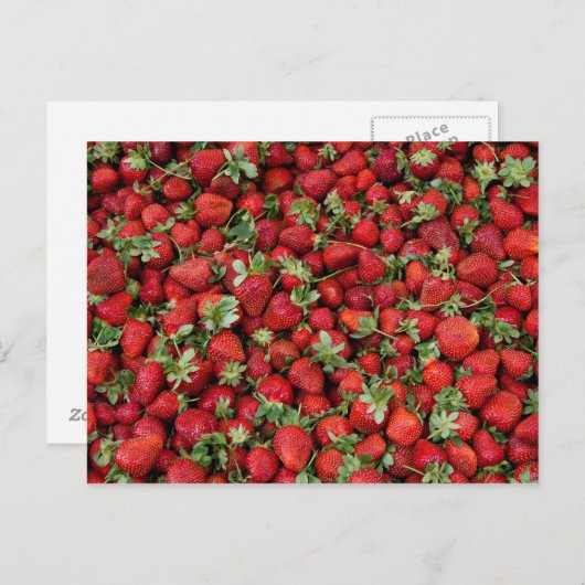 Erdbeeren Postkarte (Vorne/Hinten)