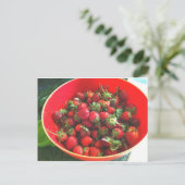 Erdbeeren Postkarte (Stehend Vorderseite)