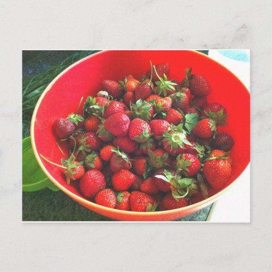 Erdbeeren Postkarte (Vorderseite)
