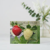 Erdbeeren Postkarte (Stehend Vorderseite)