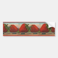 Erdbeeren Riesenalter Fruchtspass