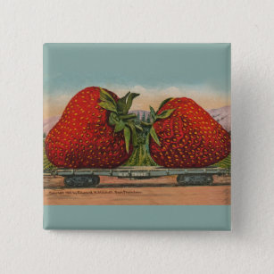 Erdbeeren Riesenalter Fruchtspass Button