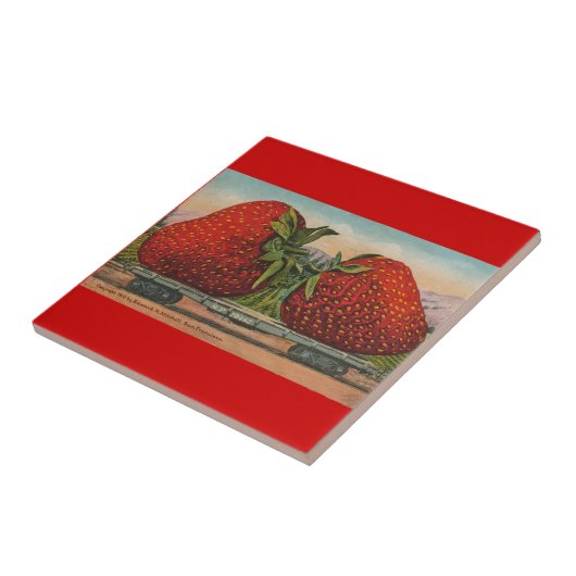 Erdbeeren Riesenalter Fruchtspass Fliese (Seite)