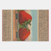 Erdbeeren Riesenalter Fruchtspass Geschenkpapier Set (Vorderseite 3)