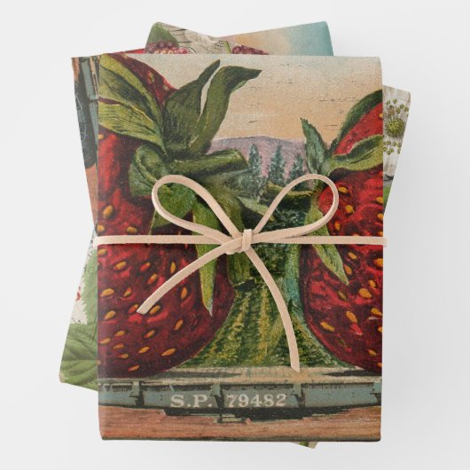 Erdbeeren Riesenalter Fruchtspass Geschenkpapier Set (Beispiel)