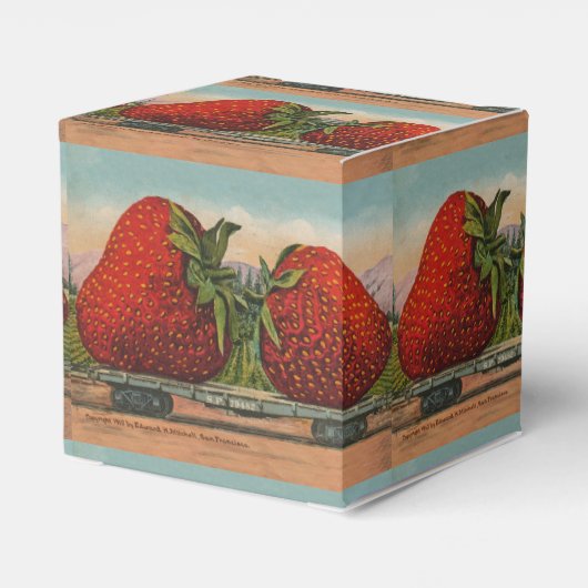 Erdbeeren Riesenalter Fruchtspass Geschenkschachtel (Rückseite)