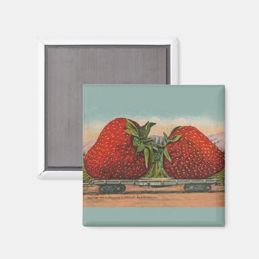 Erdbeeren Riesenalter Fruchtspass Magnet (Vorderseite/Rückseite)