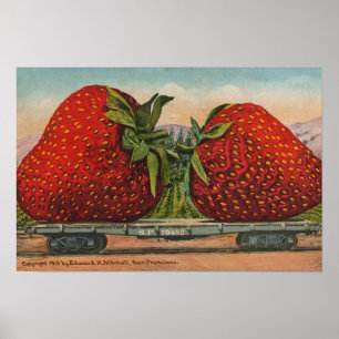 Erdbeeren Riesenalter Fruchtspass Poster