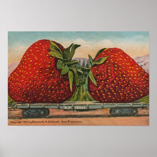Erdbeeren Riesenalter Fruchtspass Poster (Vorne)