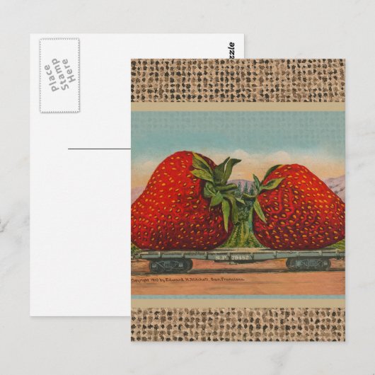 Erdbeeren Riesenalter Fruchtspass Postkarte (Vorne/Hinten)