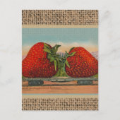 Erdbeeren Riesenalter Fruchtspass Postkarte (Vorderseite)