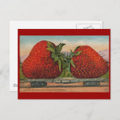Erdbeeren Riesenalter Fruchtspass Postkarte (Vorne/Hinten)