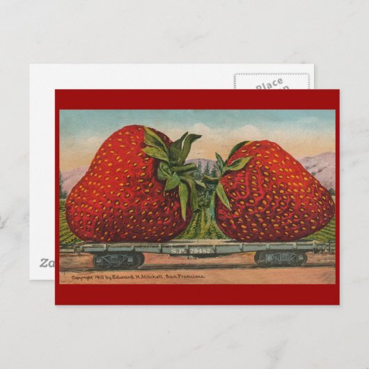 Erdbeeren Riesenalter Fruchtspass Postkarte (Vorne/Hinten)