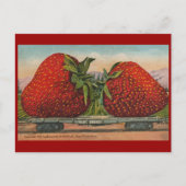 Erdbeeren Riesenalter Fruchtspass Postkarte (Vorderseite)