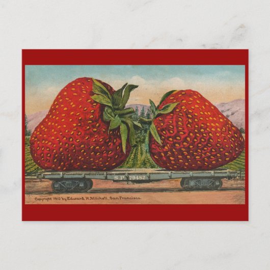 Erdbeeren Riesenalter Fruchtspass Postkarte (Vorderseite)