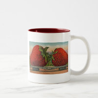 Erdbeeren Riesenalter Fruchtspass