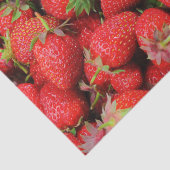 Erdbeeren Seidenpapier (Ausschnitt)