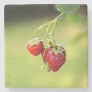 Erdbeeren Steinuntersetzer