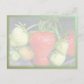 Erdbeeren und Sahne ~ Einladung Postkarte (Rückseite)
