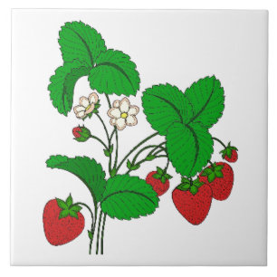 Erdbeeren zum Frühstück Fliese