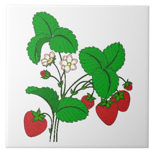Erdbeeren zum Frühstück Fliese (Vorderseite)