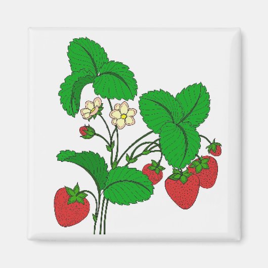 Erdbeeren zum Frühstück Magnet (Vorne)