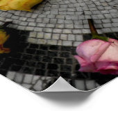 Erdbeerfelsen im Zentralpark Poster (Ecke)