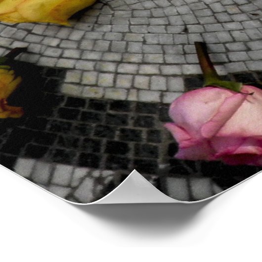 Erdbeerfelsen im Zentralpark Poster (Ecke)