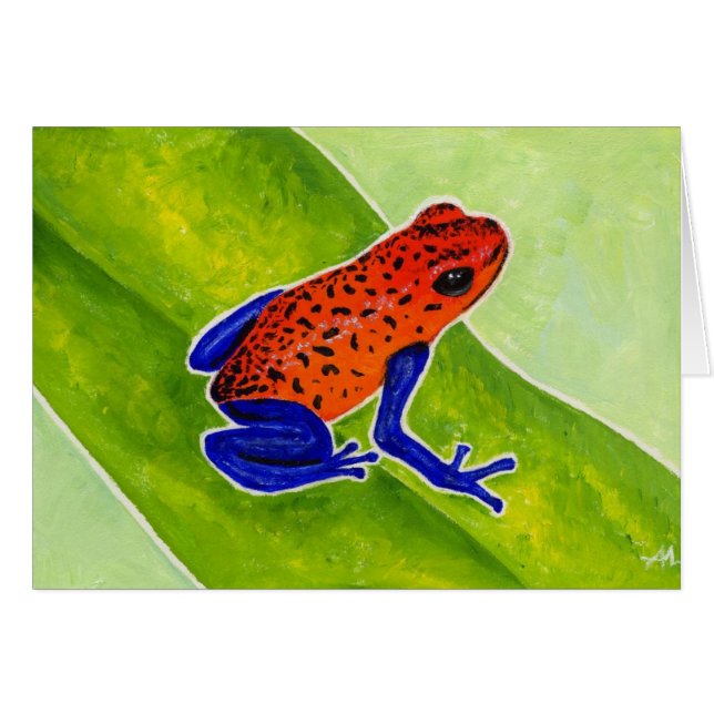 Erdbeergift-Pfeil-Frosch (Vorderseite (Horizontal))