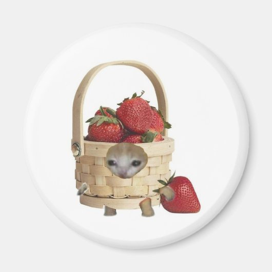 Erdbeerkorb Katze Magnet (Vorne)