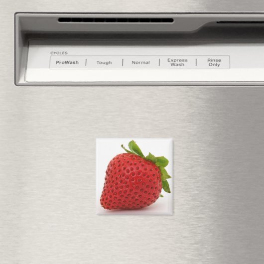 Erdbeermagnet-Dekoration Magnet (In Situ (Geschirrspüler))