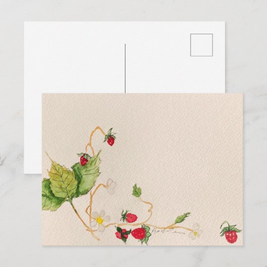 Erdbeerpostkarte Postkarte (Vorne/Hinten)