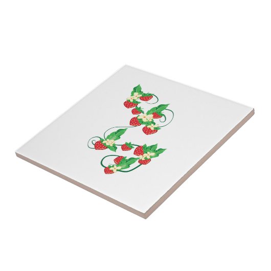 Erdbeerrebe Fliese (Seite)