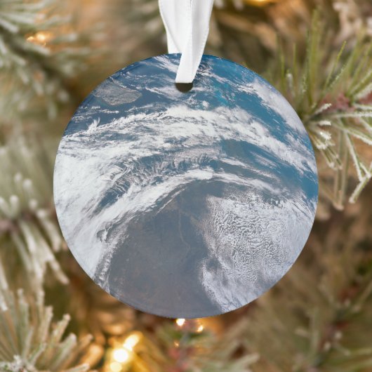 Erde aus der Apollo 12 Raumsonde. Ornament (Baum)