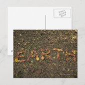 'ERDE' geschrieben mit gefallenen Blätter, die rot Postkarte (Vorne/Hinten)