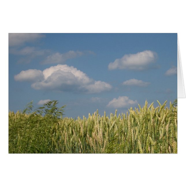 Erde und Himmel (Vorderseite (Horizontal))