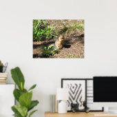 Erdeichhörnchen 4 Foto Print Poster (Heimbüro)
