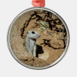 Erdeichhörnchen Keramik Ornament Aus Metall